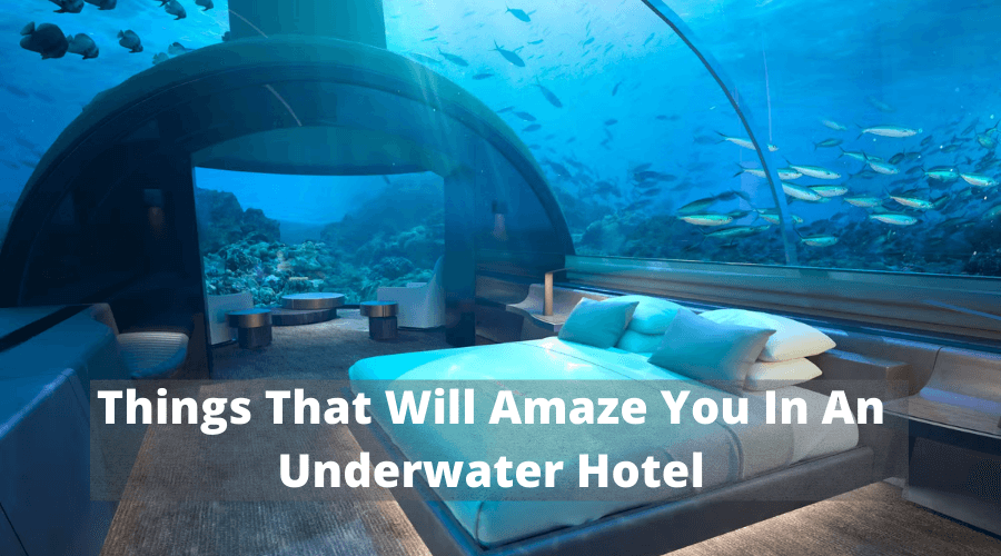 Things That Will Amaze You In An Underwater Hotel